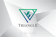Leaf and Triangle Logo Template