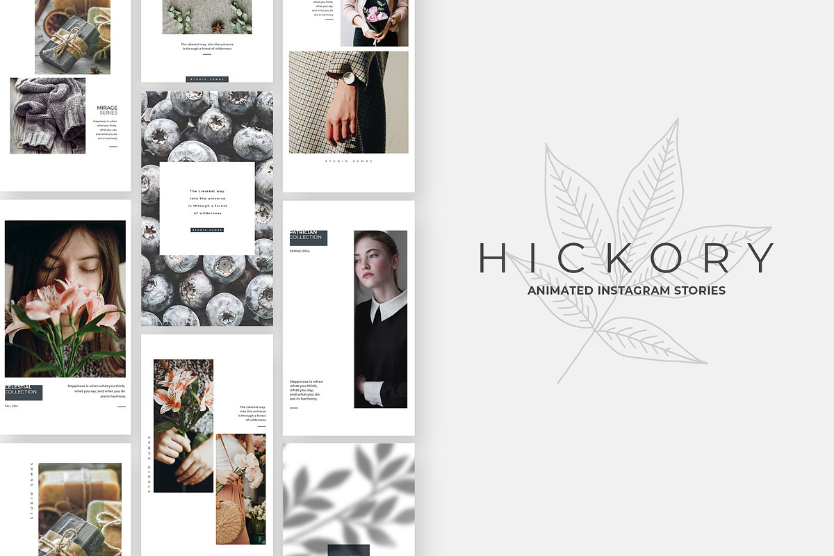 Hickory Animated Instagram Stories in Instagram Templates - product preview 8