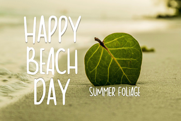 Summer Foliage Font in Sans-Serif Fonts - product preview 2