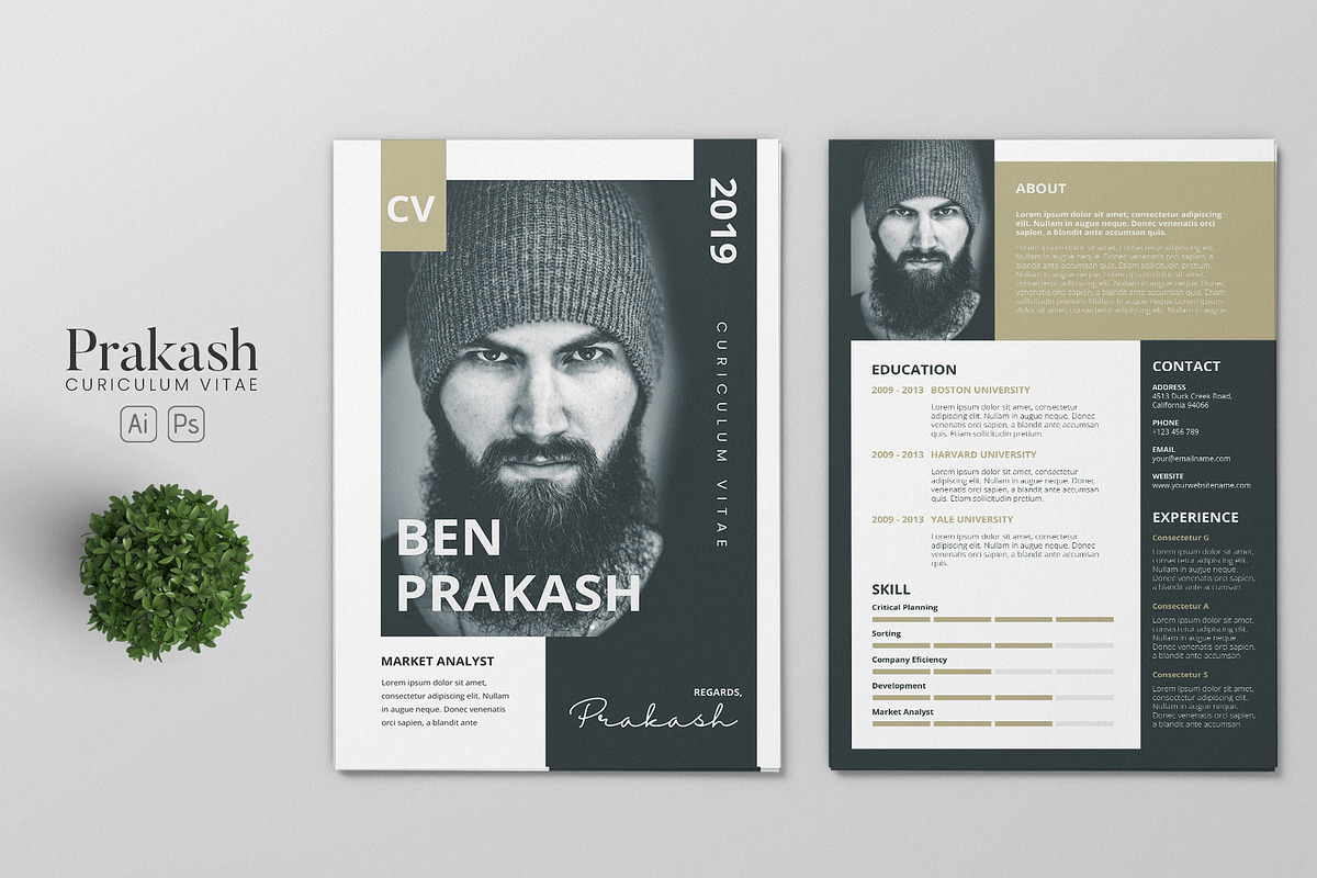 Minimalist CV Resume AI and PSD 30 in Letter Templates - product preview 8