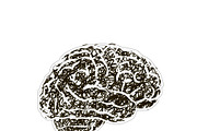 Human brain with messy hatching