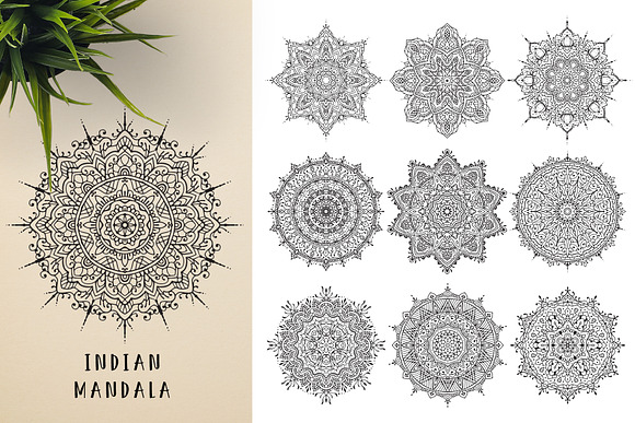 300 Vector Mandala Ornaments in Illustrations - product preview 8