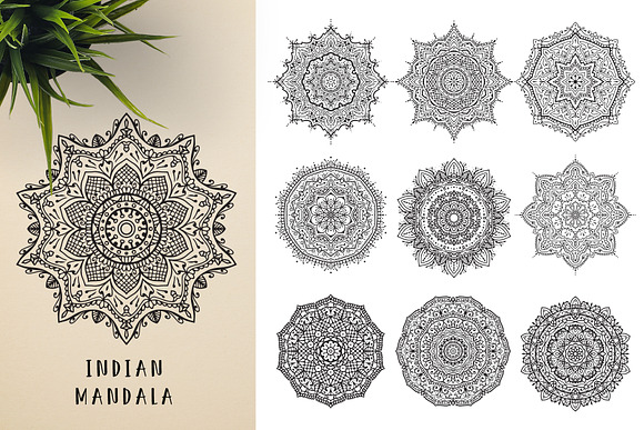300 Vector Mandala Ornaments in Illustrations - product preview 9