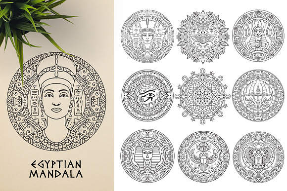 300 Vector Mandala Ornaments in Illustrations - product preview 11