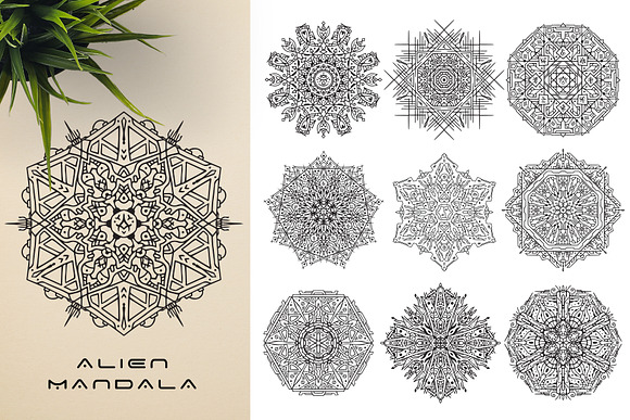 300 Vector Mandala Ornaments in Illustrations - product preview 16