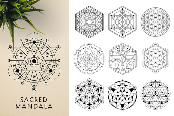 300 Vector Mandala Ornaments in Illustrations - product preview 17