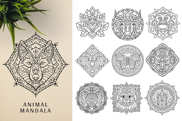 300 Vector Mandala Ornaments in Illustrations - product preview 20