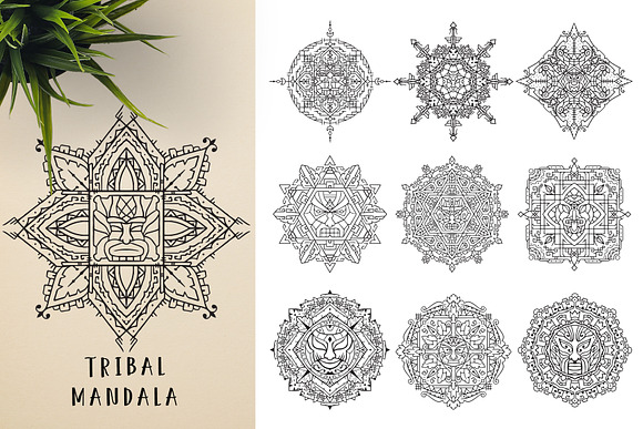 300 Vector Mandala Ornaments in Illustrations - product preview 22
