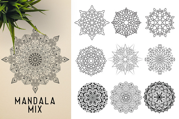 300 Vector Mandala Ornaments in Illustrations - product preview 29