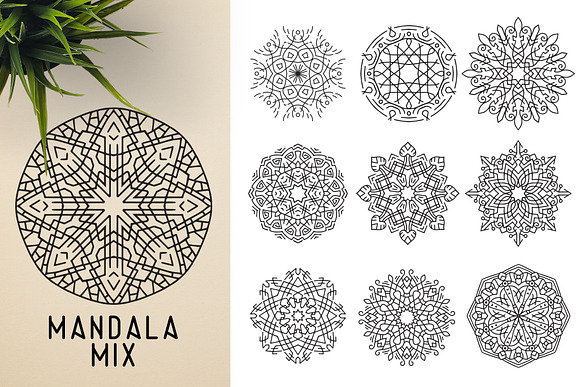 300 Vector Mandala Ornaments in Illustrations - product preview 30