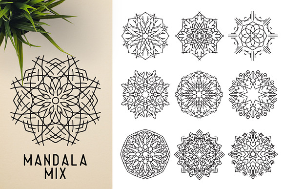 300 Vector Mandala Ornaments in Illustrations - product preview 32