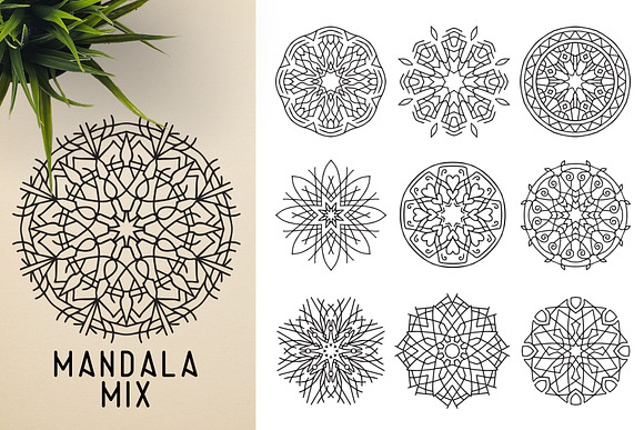 300 Vector Mandala Ornaments in Illustrations - product preview 33