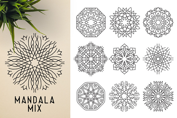 300 Vector Mandala Ornaments in Illustrations - product preview 34