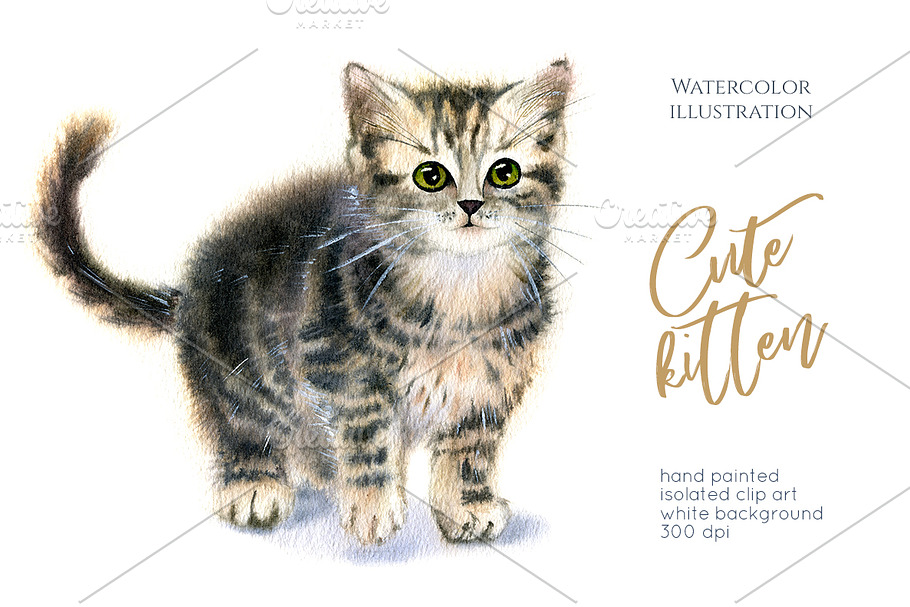 Cute Kitten. Watercolor cat in Illustrations - product preview 8