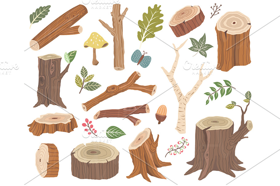 Nature Wooden Collections Set