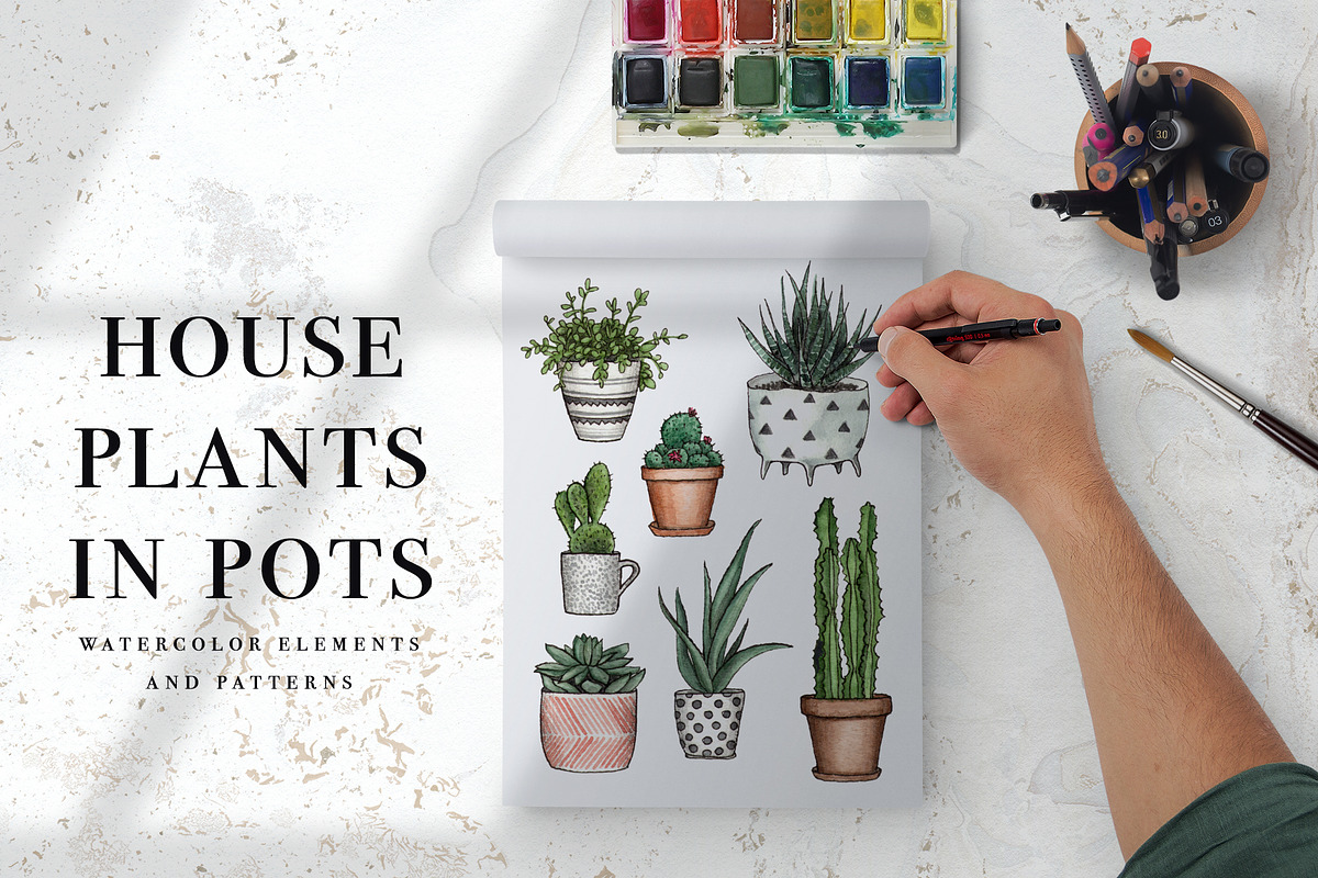 House plants in pots. Watercolor set in Illustrations - product preview 8