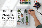 House plants in pots. Watercolor set