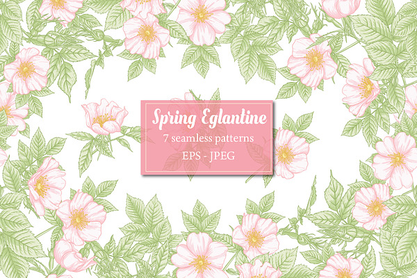 Spring Eglantine Seamless Patterns