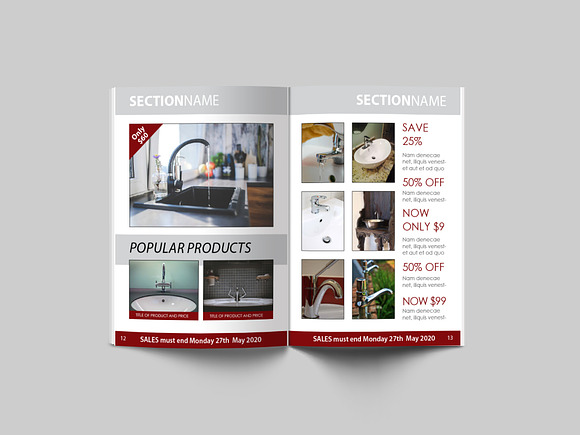 16 Page Sales Brochure Template in Brochure Templates - product preview 6