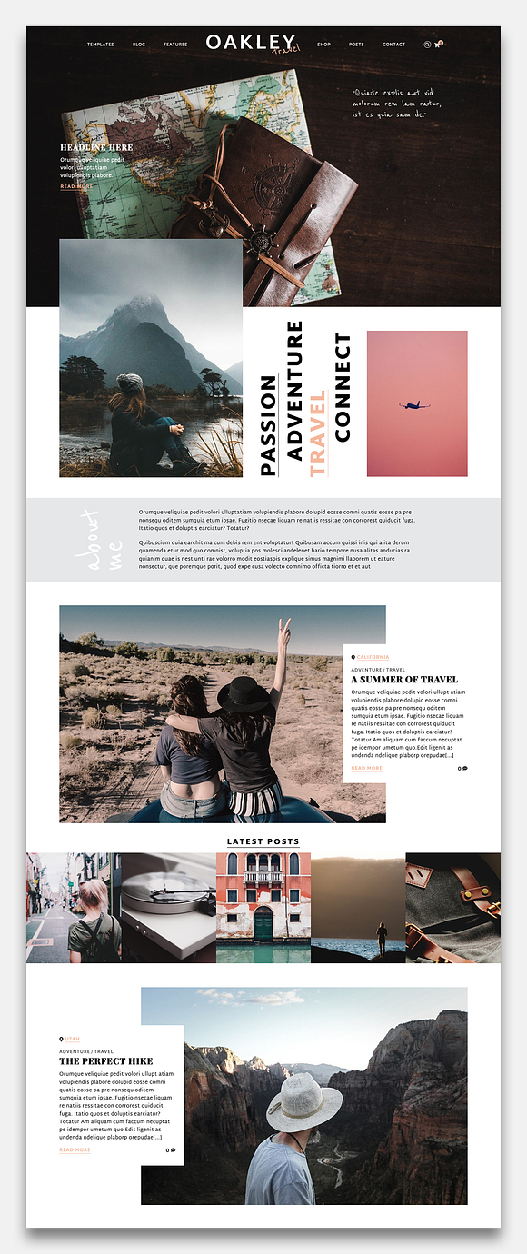 Oakley - A Blog & Shop Theme in WordPress Blog Themes - product preview 1