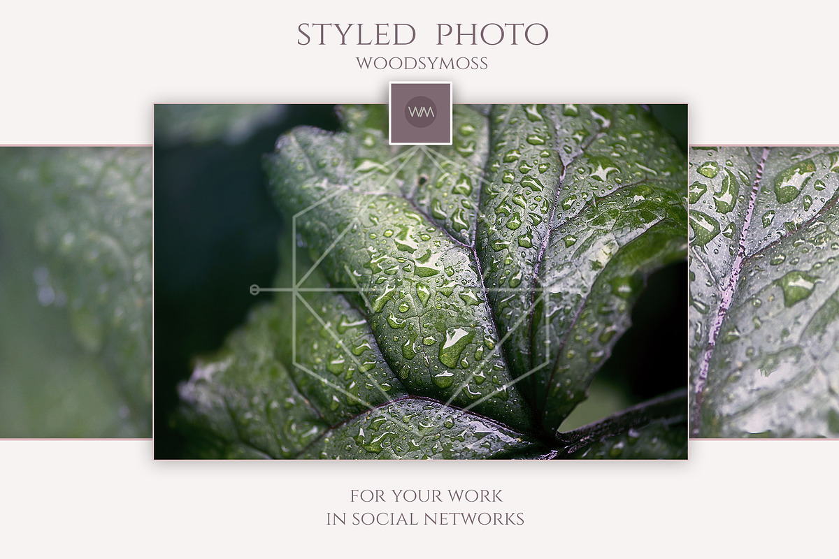 Raindrops fall on green leaves in Website Templates - product preview 8