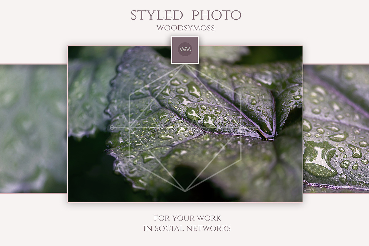 Water drops on the green leaves in Website Templates - product preview 8