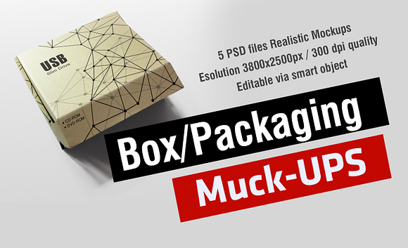 Box / Packaging Mock-Up in Branding Mockups - product preview 6