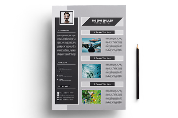 Resume Template in Letter Templates - product preview 4