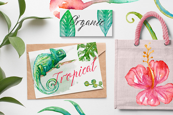 Watercolor Tropics | Script Font in Script Fonts - product preview 2