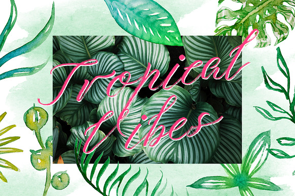 Watercolor Tropics | Script Font in Script Fonts - product preview 5