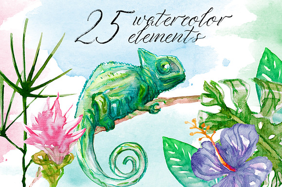 Watercolor Tropics | Script Font in Script Fonts - product preview 6