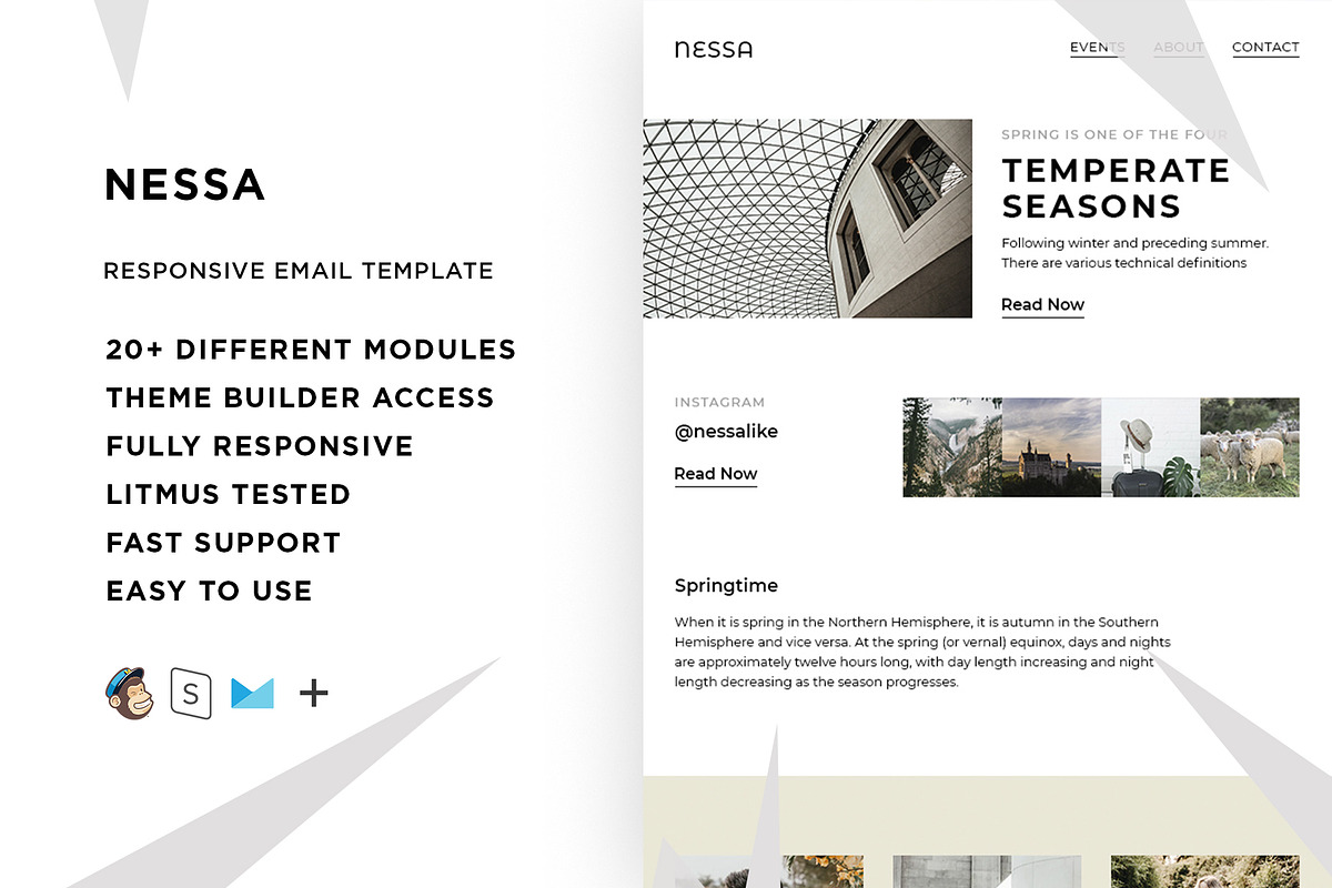 Nessa – Responsive Email template in Mailchimp Templates - product preview 8