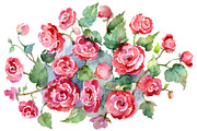 Bouquet of roses pink Metamorphosis