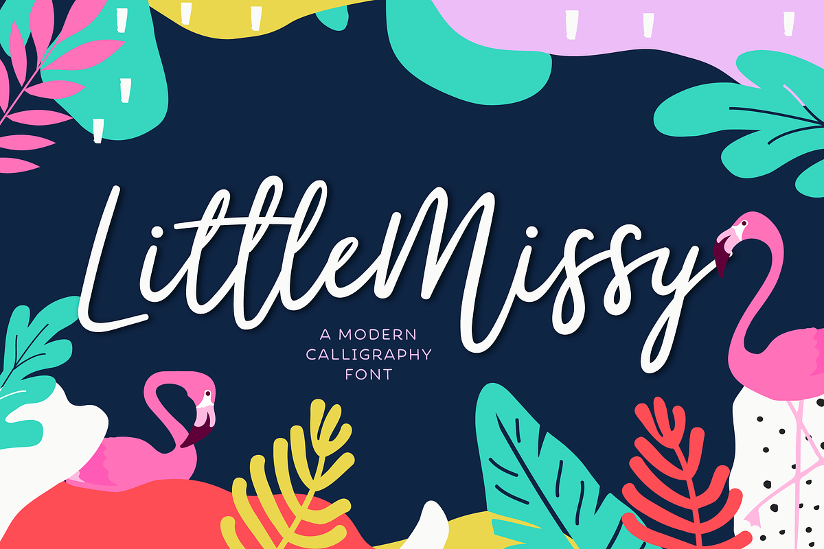 LittleMissy | A Modern Script Font in Script Fonts - product preview 8