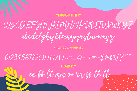 LittleMissy | A Modern Script Font in Script Fonts - product preview 6