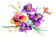 Bouquet Freesia watercolor png