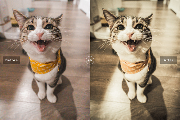 Cats Love Lightroom Presets Pack in Add-Ons - product preview 3