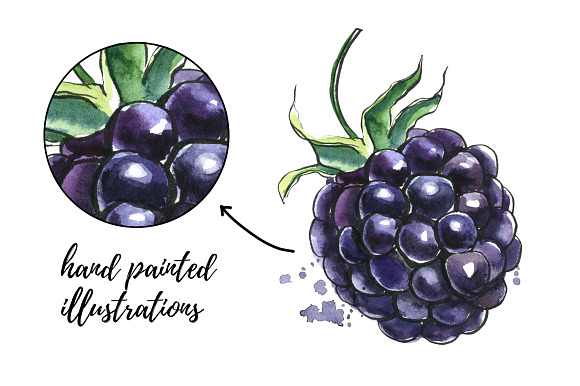 Berry Fusion hand drawn watercolors in Illustrations - product preview 2