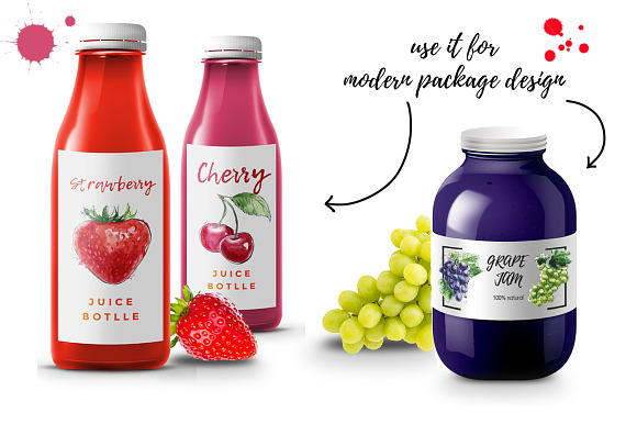 Berry Fusion hand drawn watercolors in Illustrations - product preview 3