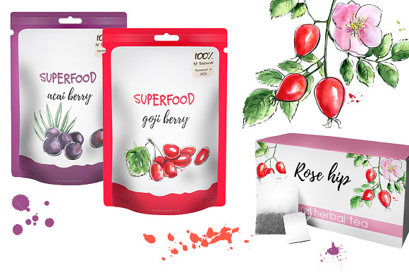 Berry Fusion hand drawn watercolors in Illustrations - product preview 4