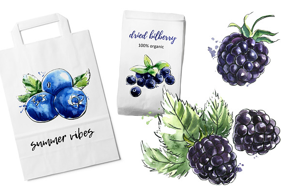 Berry Fusion hand drawn watercolors in Illustrations - product preview 5