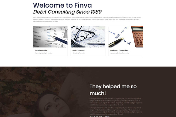 Finva - Debit Consulting WP Theme in WordPress Business Themes - product preview 1