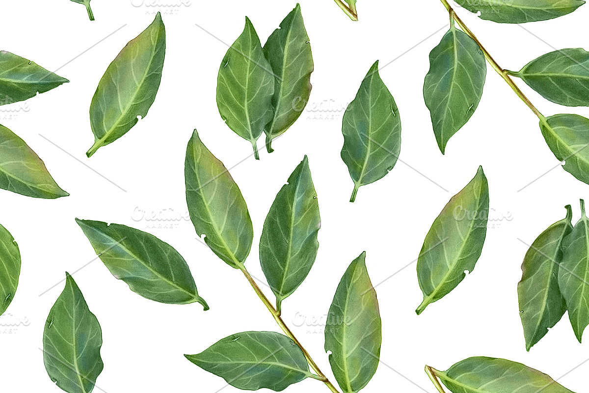 Seamless Laurel Leaves Pattern in Patterns - product preview 8