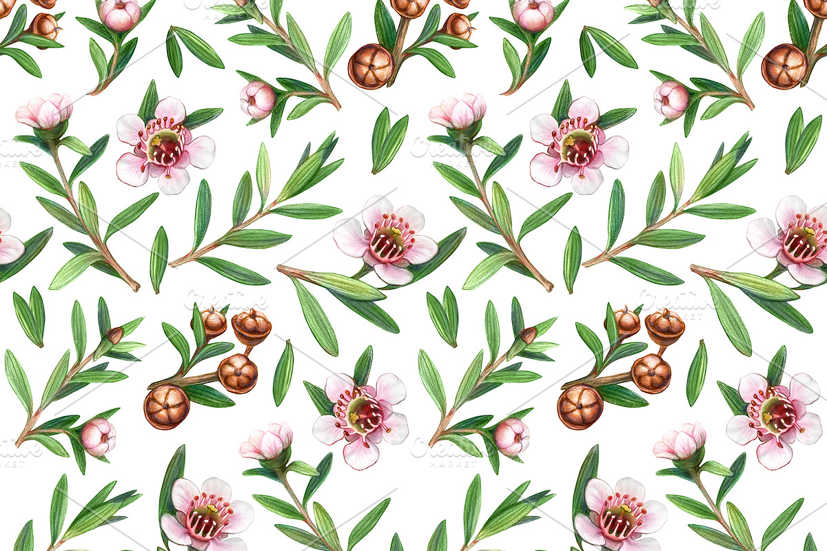 Manuka Seamless Pattern in Patterns - product preview 8