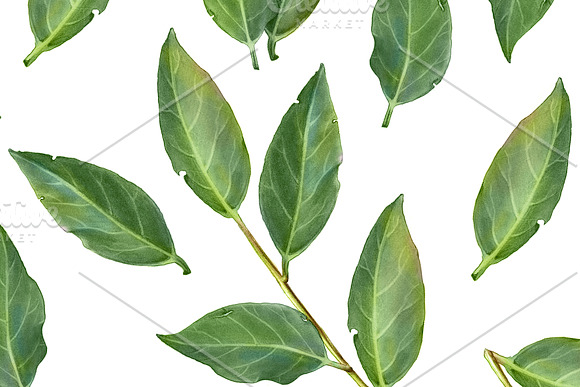 Seamless Laurel Leaves Pattern in Patterns - product preview 1