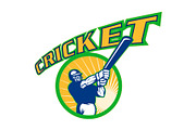 cricket sports batsman batting