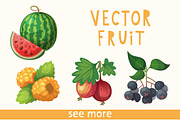 19 Vector Berries