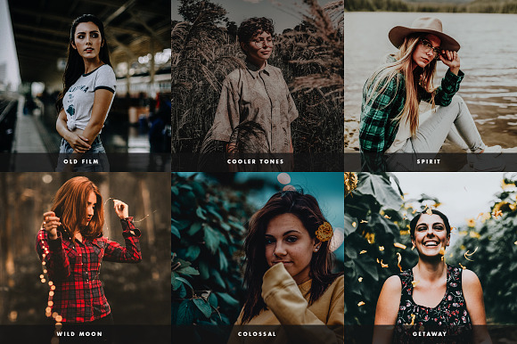 Moody Presets For Desktop+Mobile in Add-Ons - product preview 1