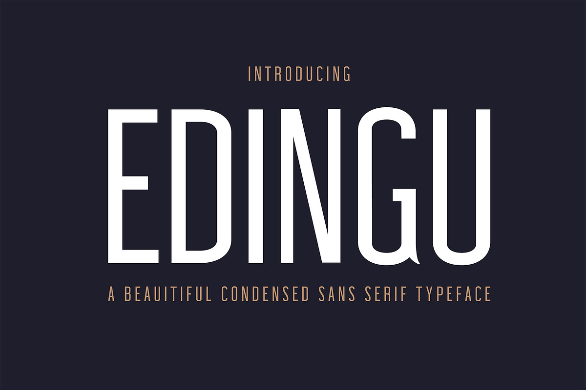 Edingu Sans Serif Font Family in Sans-Serif Fonts - product preview 8
