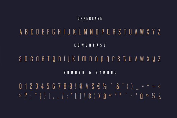 Edingu Sans Serif Font Family in Sans-Serif Fonts - product preview 1